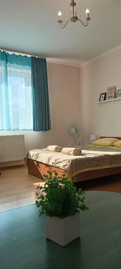Vip Apartments In The Centre 무카체베 외부 사진